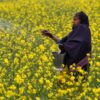 India's Annual Fertiliser Subsidy Bill To Rise By 20%: How Does This Affect Farmers, Kharif Crop?