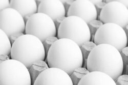 Eggs In Uttar Pradesh Will Now Carry Expiry Dates: New Rule Kicks In Today | Here's What Changes