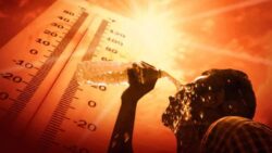 Heatwave Alert In Lucknow: City Sizzles At 43°C | Check When Will You Get Relief