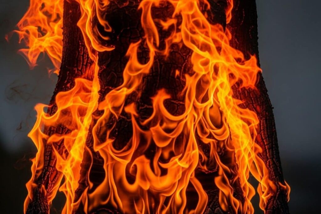 Massive Fire At Plastic Warehouse In Delhi’s Rohini, 3 Including Infant Dead