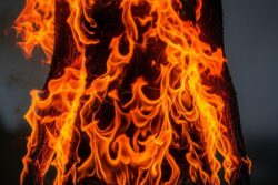 Massive Fire At Plastic Warehouse In Delhi’s Rohini, 3 Including Infant Dead