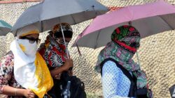 Karnataka Heatwave: Govt Employee Dies In 2nd Suspected Heatstroke Death In 48 Hours