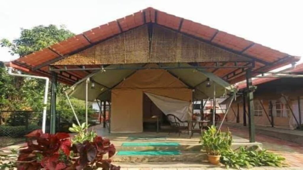 US National Sexually Assaulted At Karnataka Homestay, 2 Arrested; Govt Promises Strict Action