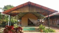 US National Sexually Assaulted At Karnataka Homestay, 2 Arrested; Govt Promises Strict Action