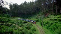 Looking For Perfect Summer Escape? These Train Journeys Lead You Through India’s Most Beautiful Hills