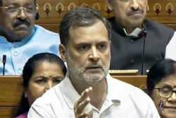 Rahul Gandhi Recalls Grandmother Indira's Lesson: 'When I Was A Little Boy...'