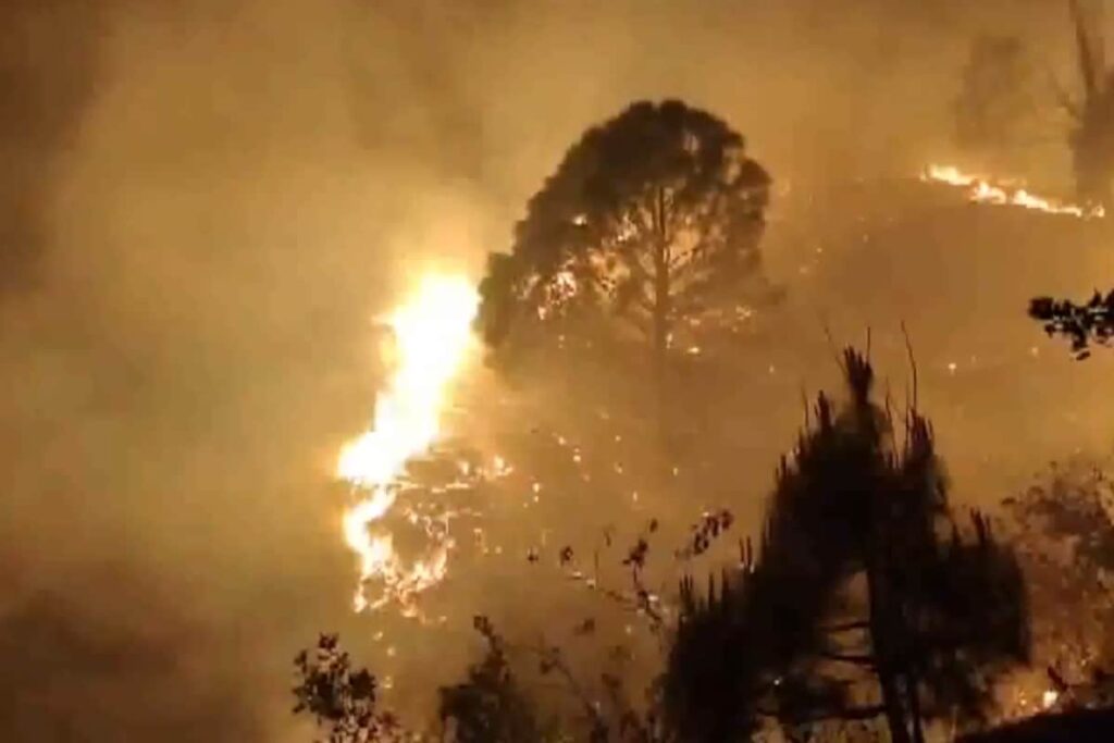 Intense Heat, Extended Dry Spell And More: Why India's Hills Are On Fire