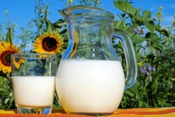 Milk Prices Hiked By Rs 4 Per Litre In Odisha; Check New Rates