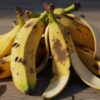 Man, Who Swallowed Locker Key In Police Custody, Fed 10 Kgs Bananas To Flush It Out