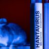 Deadly Hantavirus Cruise Ship Outbreak: List Of Countries That Have Reported Cases