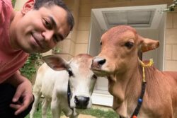Prateek Yadav Death: Remembering His Passion For Animal Rescue And Welfare