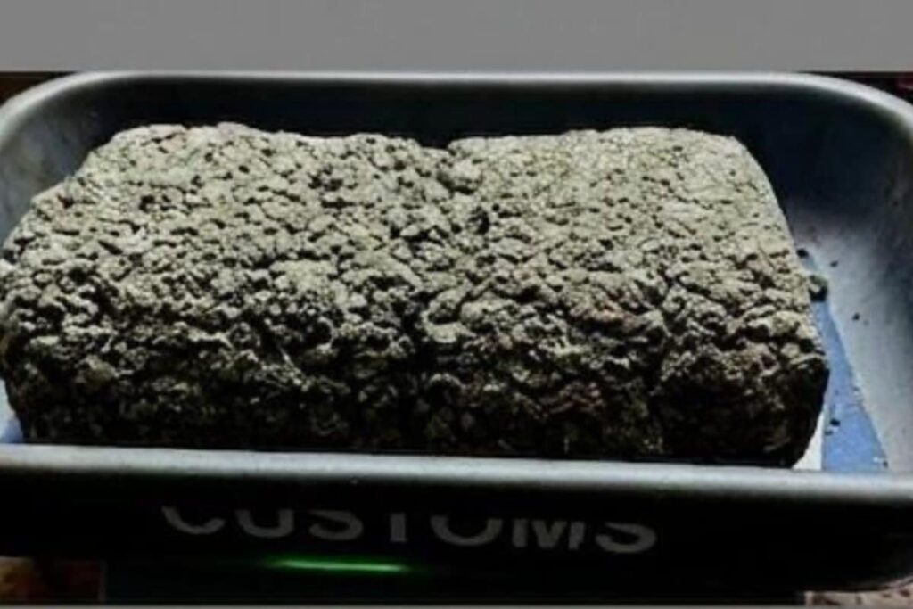 Mumbai Customs Seize Hydroponic Weed Worth Rs 20 Crore At Airport, 3 Held