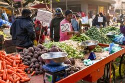 Petrol, Diesel Prices Hiked: From Vegetables To Edible Oil, Things That Could Get Costlier Now