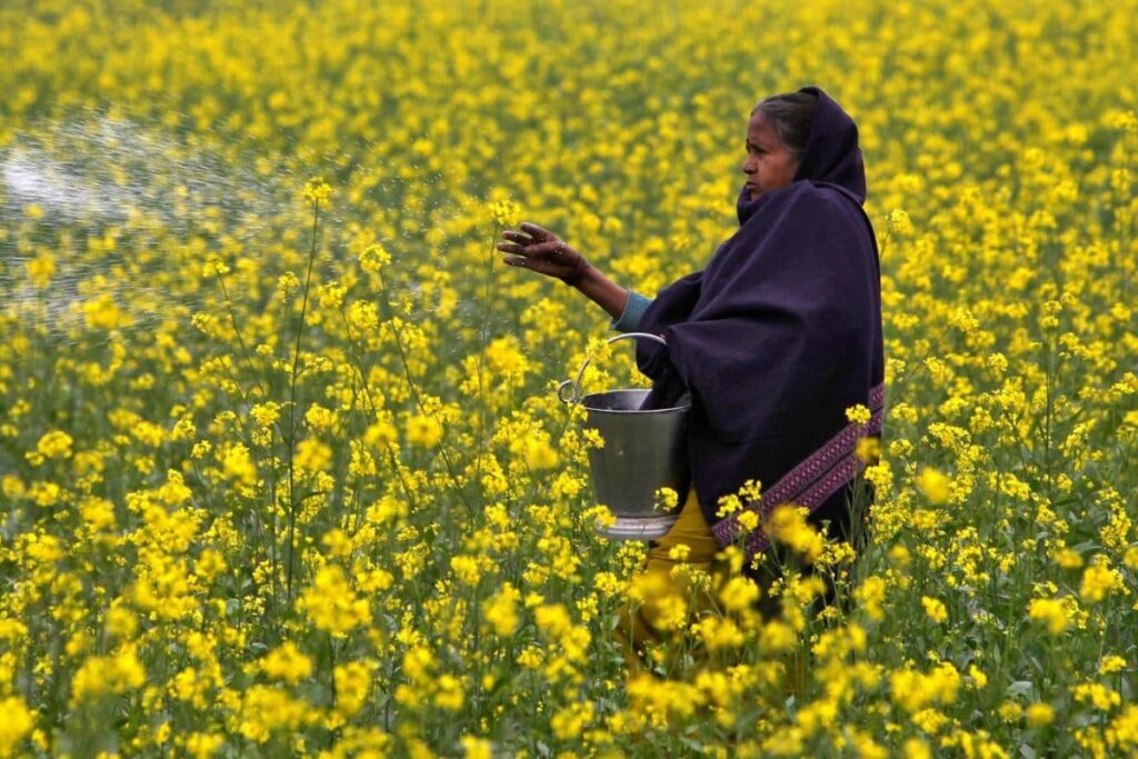 Subsidies And More: How India Sells A Bag Of Urea For Rs 300 When Others Sell It For Rs 3,000