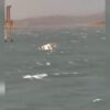4 Dead, Several Missing After Boat Carrying 29 Tourists Sinks in Madhya Pradesh; Rescue Underway