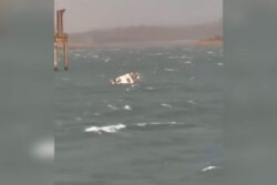 4 Dead, Several Missing After Boat Carrying 29 Tourists Sinks in Madhya Pradesh; Rescue Underway