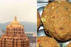 Tirupati Laddu Ghee Scam: Probe Finds Major Quality, Policy Lapses; Fake Firms Got Contracts