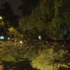 60 Killed After Storm, Rain Lashes Parts Of Uttar Pradesh; CM Yogi Orders Relief