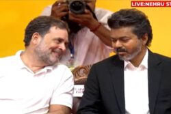 Vijay Could’ve Been A Congress CM: How Rahul Gandhi’s 2009 ‘Mistake’ Just Cost Him Tamil Nadu