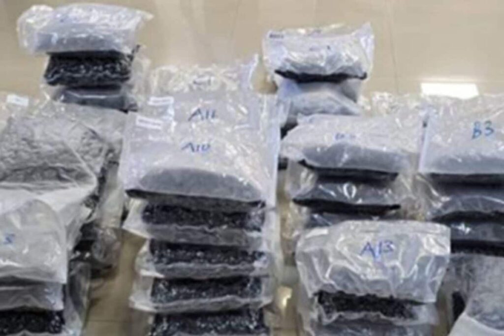 490 NDPS Cases, 47 Kg Heroin Seized From Pakistan-Bordering Villages In Punjab