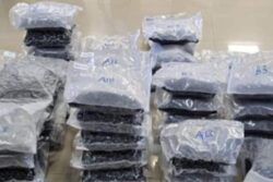490 NDPS Cases, 47 Kg Heroin Seized From Pakistan-Bordering Villages In Punjab