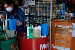 The Most Terrifying Pathogen You’ve Never Met: What Does The Hantavirus 'Doomsday Scenario' Look Like?
