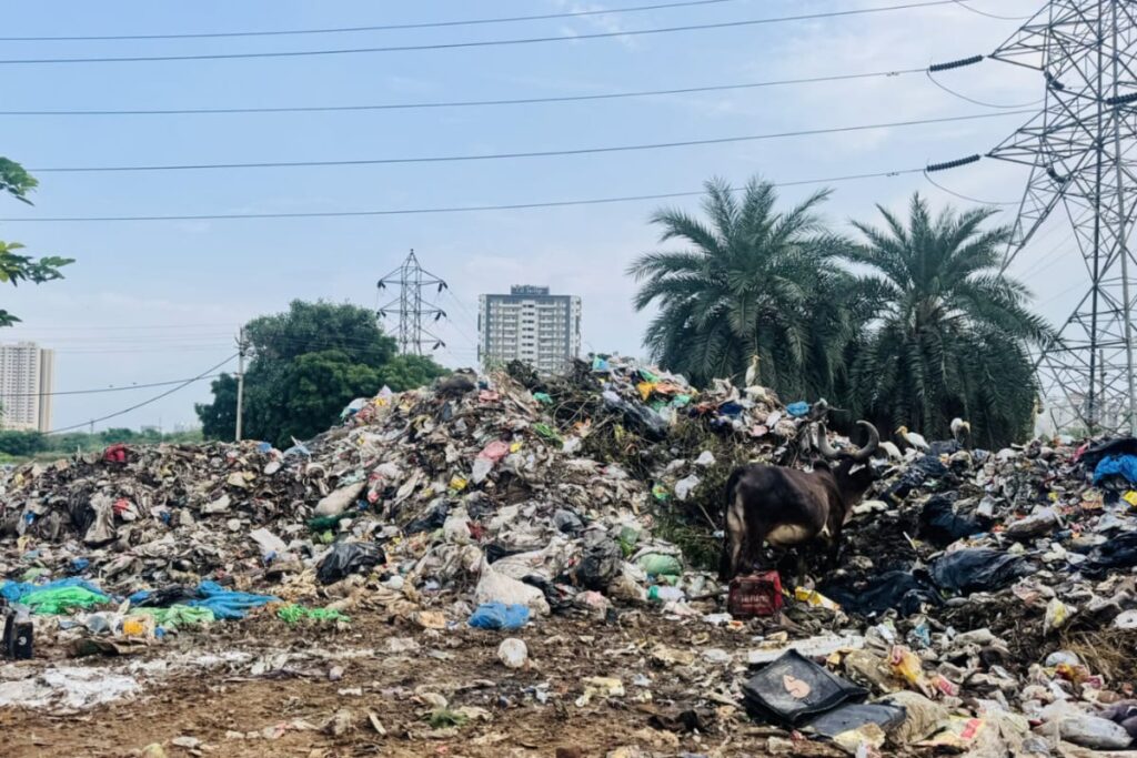 MCD Allocates Rs 48 Crore To Boost Garbage Cleanup In Delhi
