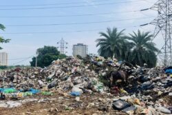 MCD Allocates Rs 48 Crore To Boost Garbage Cleanup In Delhi