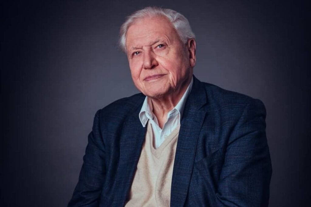 David Attenborough Turns 100! 6 Documentaries To Watch To Celebrate This Legend