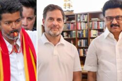 Vijay In, Stalin Out: Why Rahul Gandhi ‘Whistled’ A Different Tune In Tamil Nadu