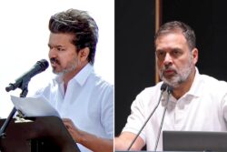 TVK-Congress Alliance In Tamil Nadu? Vijay Holding Discussions On Govt Formation, Say Reports